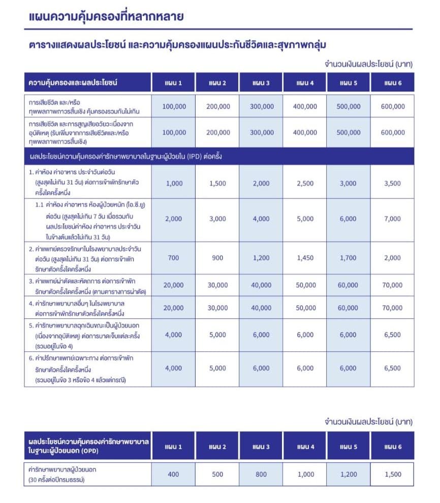 รายละเอียดประกันกลุ่ม แผน 2 - ภาพที่ 3